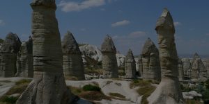 You Won’t Believe These Must-Have WordPress Plugins for Effortless E-Commerce!