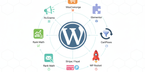 WordPress must have plugins